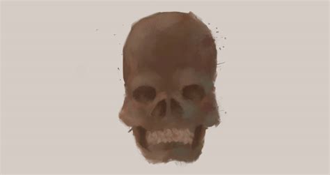 Normal Skull Normal Skull By Neobunnycatx On Deviantart