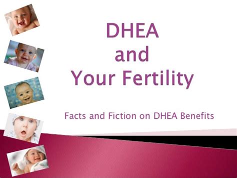 DHEA and Your Fertility