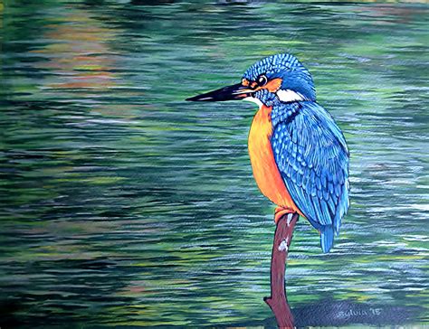 Kingfisher Painting At Explore Collection Of