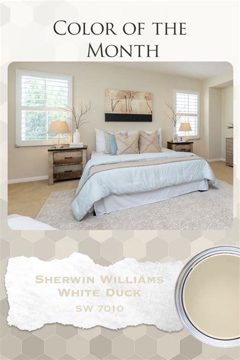 The Color Of The Month Sherylin Williams White Duck Sw 7010 Is Shown