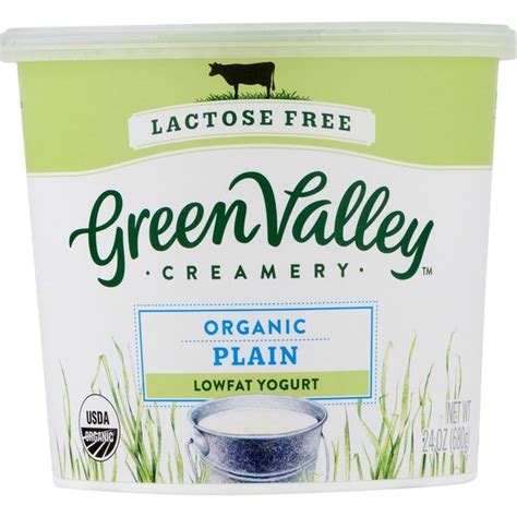 Green Valley Creamery Yogurt Lowfat Lactose Free Organic Plain 24