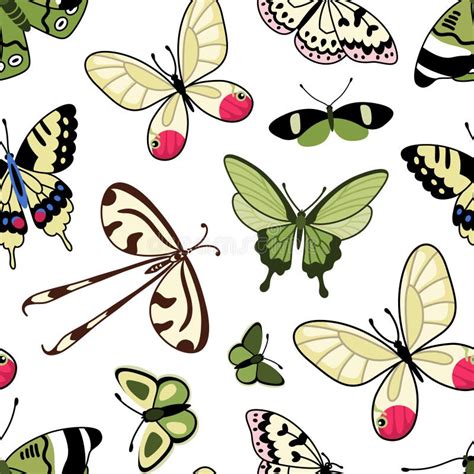 Vector Pattern With Butterflies Seamless Pattern With Insects Stock