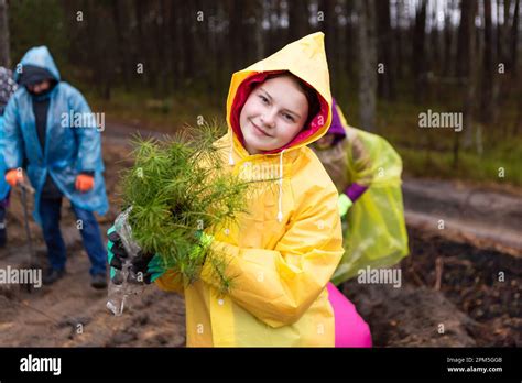 Young Woman Holds Pine Tree Seedlings In Her Hands Before Planting
