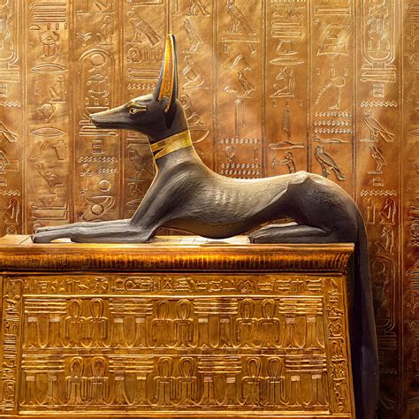 Stream King Tut A Century Of Secrets Discovery