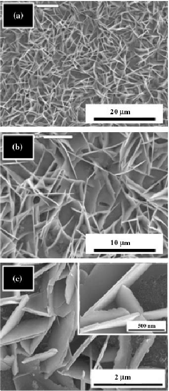 Low A B And High C Magnification SEM Images Of ZnO Nanosheet