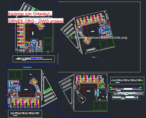 Kad Nlar I In Ortaokul Dwg Projesi Autocad Projeler Hot Sex Picture