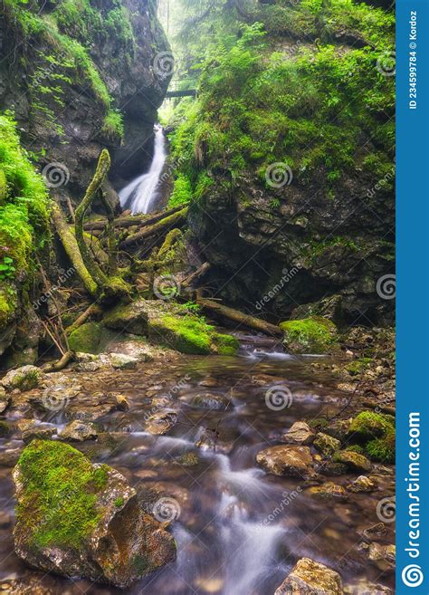 Waterfall In Velky Sokol Gorge In The Slovak Paradise During Summer