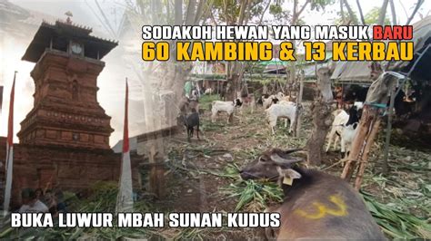 Buka Luwur Sunan Kudus Shodakoh Kambing Dan Kerbau Sangat Banyak Sekali