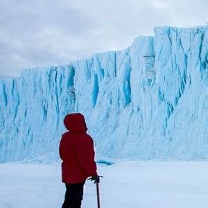 Antarctica: A Year on Ice (2014) - Rotten Tomatoes