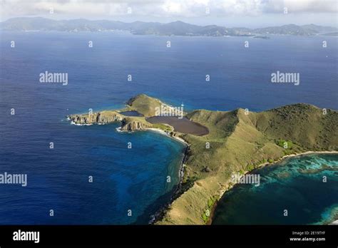 british virgin islands salt island south  tortola reproduction