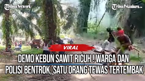 DEMO BERDARAH Di Kebun Sawit Seruyan Kalteng Warga Dan Polisi Bentrok