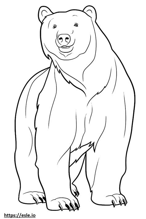 Brown Bear Cartoon Coloring Page