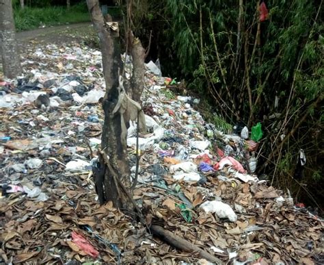 Pembuangan Sampah Liar Di Kediri Aplkk Petugas Harus Tindak Tegas