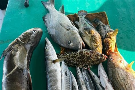 Phu Quoc Deep Fishing Tour