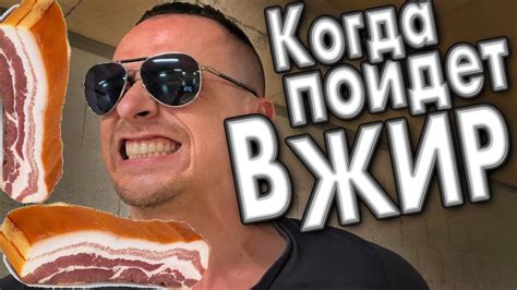 Когда ЖИР начинает откладываться ? Накопление жира в организме ...