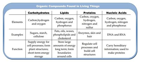 Carbohydrates Lipids Proteins And Nucleic Acids Chart Chart Walls