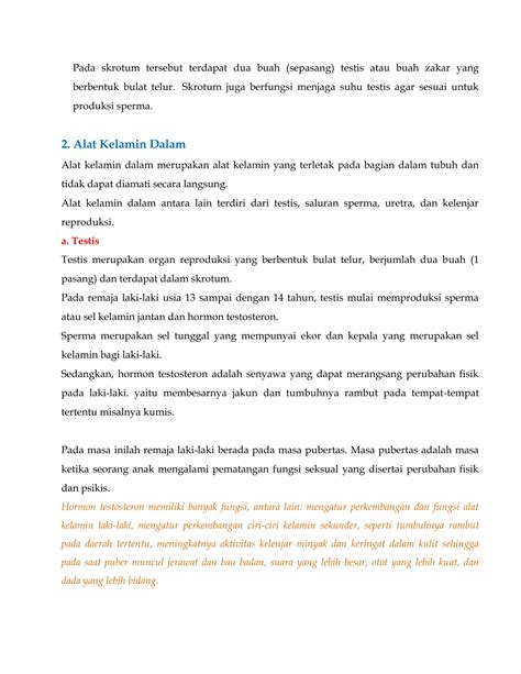 Organ Reproduksi Laki Laki Dan Spermatogenesis Pdf