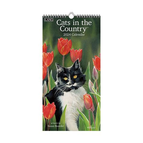 Cats In The Country Calendar 2024 Pdf Gillie Jillie