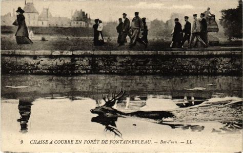 Cpa Fontainebleau Chasse A Courre En Foret Bat L Eau France