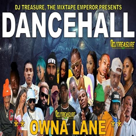 OWNA LANE Dancehall Mix 2024 Vibe Mixtapes