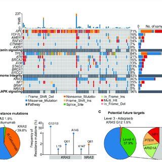 Oncogenic signaling pathways and actionable alterations in the... | Download Scientific Diagram