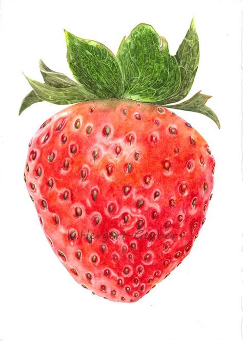 Strawberry Watercolour Digital Strawberry Strawberry Digital