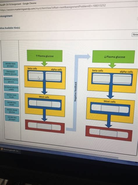 Solved N Ch Assignment Google Chrome Https Session Mast Chegg