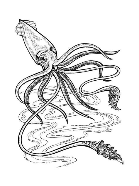 Printable Squid Coloring Page The Best Porn Website