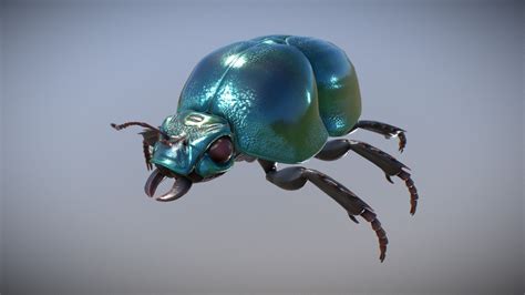 Dung Beetle 3d Model By Mathieu Le Chat Lechat C6aa02c Sketchfab