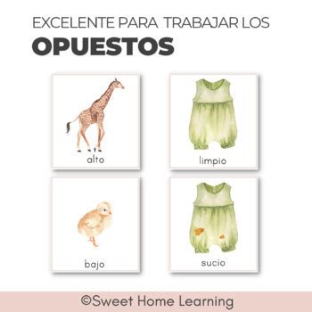 Antónimos Opuestos Tarjetas Opposites Antonyms Spanish by Sweet Home