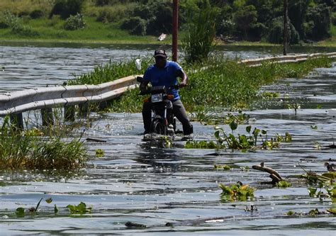 Alarmados Vecinos De La Isla La Culebra Por Aumento Del Nivel Del Lago