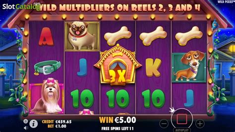 The Dog House Slot ᐈ Claim A Bonus Or Play For Free