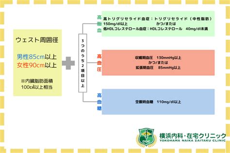 メタボリックシンドロームの診断基準は？原因や改善方法を解説 横浜内科・在宅クリニック