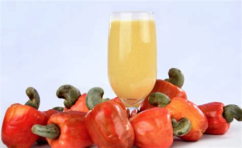 Suco de caju 10 receitas e 7 benefícios para você