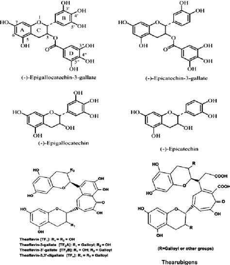 Chemical Structures Of The Major Tea Polyphenols Download Scientific