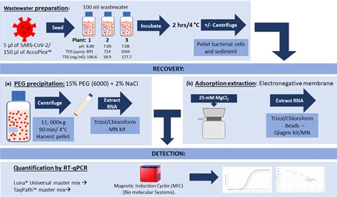 Figure 1 from An optimized and robust PEG precipitation method for detection of SARS-CoV-2 in ...