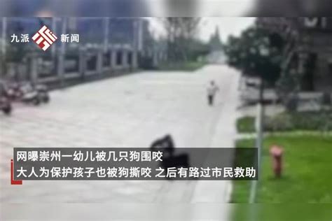 成都一2岁半女童小区内遭狗围咬，街道办：已成立工作组，狗的主人目前没找到