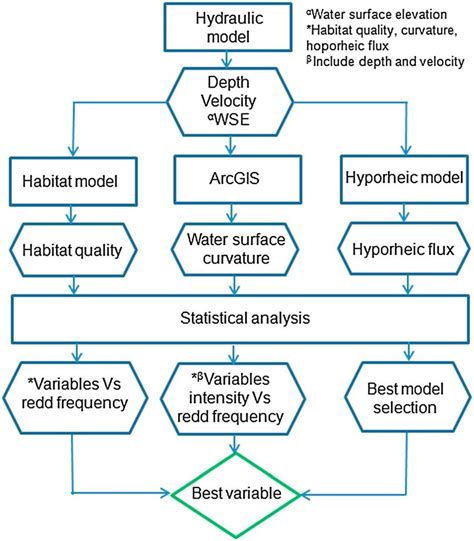 Flow Chart Showing Model Development Output Variables And Statistical