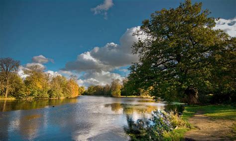 The Wanstead Park Lakes – The Friends of Wanstead Parklands