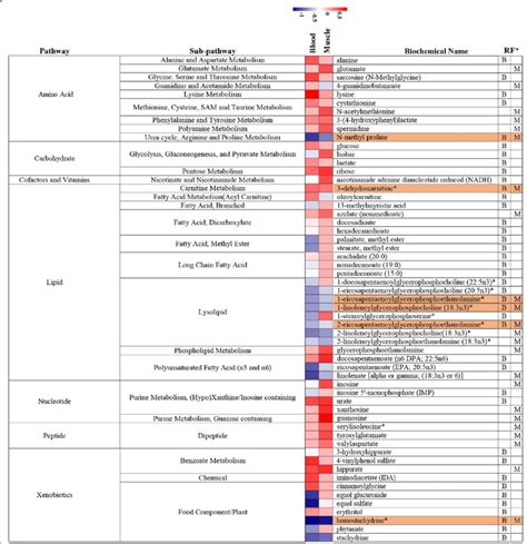 Potential metabolic biomarkers and metabolic pathways in blood and ...