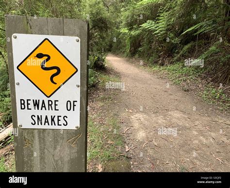 Warning Snakes Sign Hi Res Stock Photography And Images Alamy