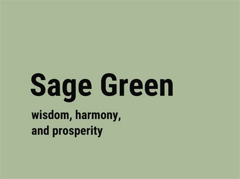Sage Green Color Meaning Shades And Color Codes