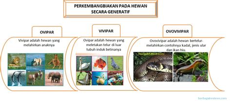 20 Contoh Hewan Yang Berkembang Biak Secara Generatif Dan Vegetatif