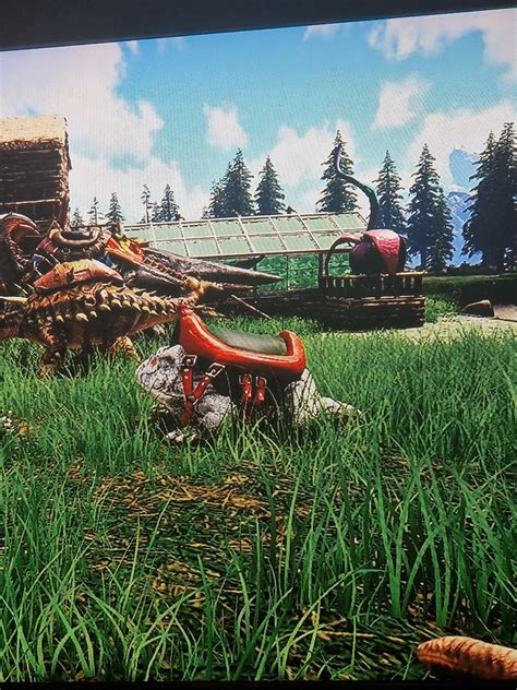 Lv224 Beelzebufo With Christmas Saddle Rark