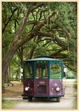 Romance – Always in Bloom at the Charleston Tea Garden! – Bigelow Tea Blog