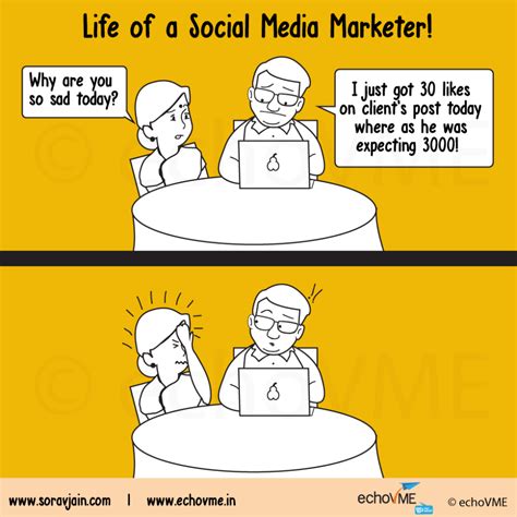 Hilarious Social Media Digital Marketing Cartoons