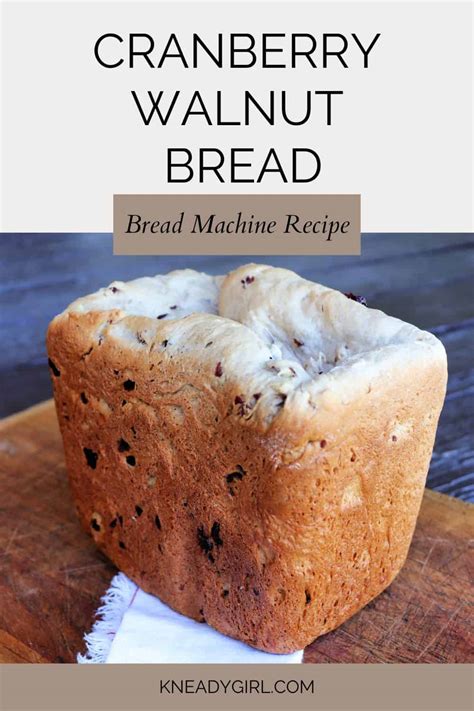 Bread Machine Classic Cranberry Walnut Bread Kneady Girl
