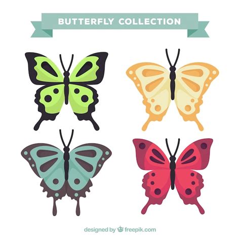 Set De Mariposas Ornamentales Vector Gratis