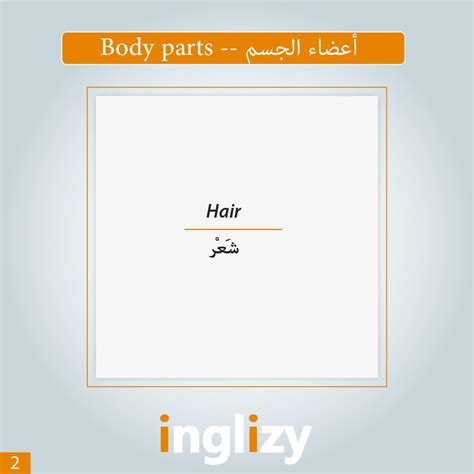 كلمة شعر بالانجليزي ووردز