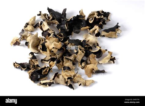 Jelly Ear Cloud Ear Fungus Black Fungus Black Chinese Mushroom Wood